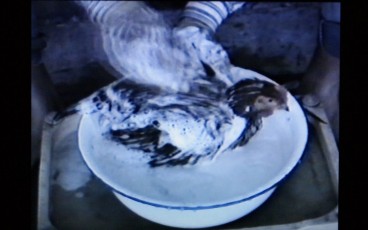 Zhang Peili's early video work 'Document on Hygiene No. 3' (1991) is featured in the MAAP SPACE exhibition
