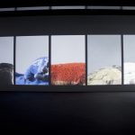 Wang Gongxin, 'Basic Colour' (2010)