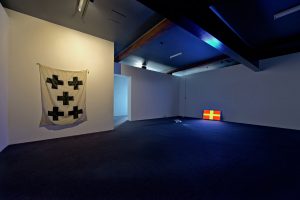 MAAP SPACE installation view João Vasco Paiva. Photo credit Mick Richards