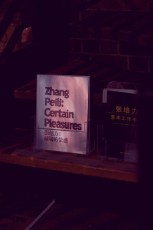 Zhang Peili opening at MAAP SPACE captured by the Weekend Edition