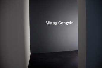 Wang Gongxin exhibition, installation view